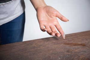 Common Household Allergens in Hillcrest, CA