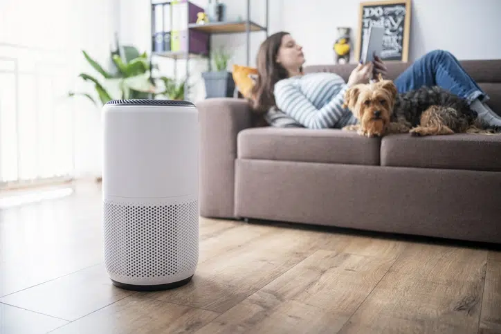 A white air purifier with a black top sits on a wooden floor in the foreground, while a woman lies on a brown couch with a small dog in the background, looking at a tablet.